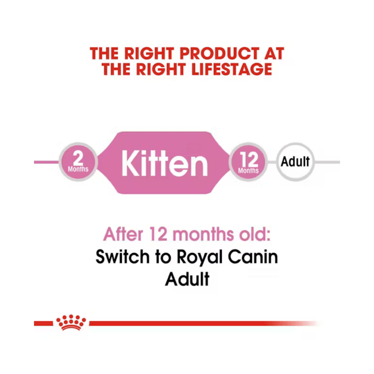 Royal Canin Dry Kitten Food - Pet Supply